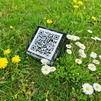 QR-Grabsteine - Verbinden Sie Generationen mit einem Scan QR-Grabsteine - Verbinden Sie Generationen mit einem Scan
